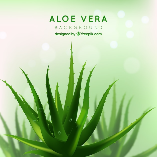 Download Vector Pretty Green Background Of Aloe Vera Vectorpicker