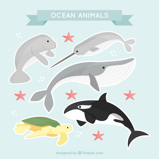 Pretty pack of ocean animals