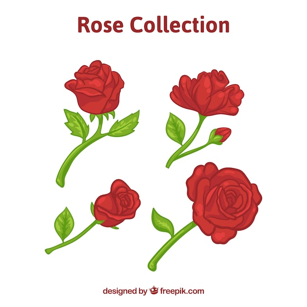 Pretty red roses with fantastic designs