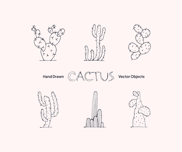 Premium Vector | Prickly pear hand drawing tropical succulent graphic ...