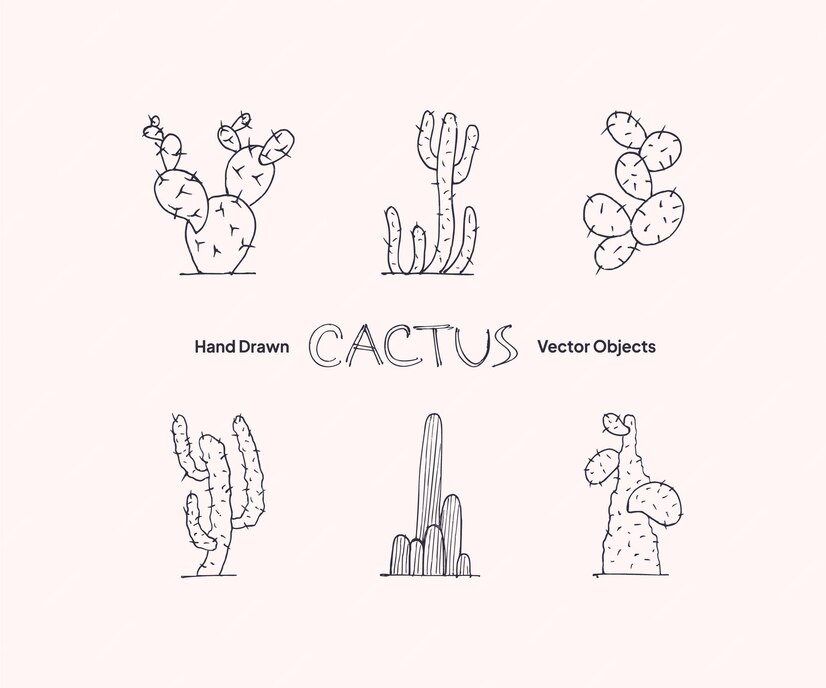 Premium Vector | Prickly pear hand drawing tropical succulent graphic ...