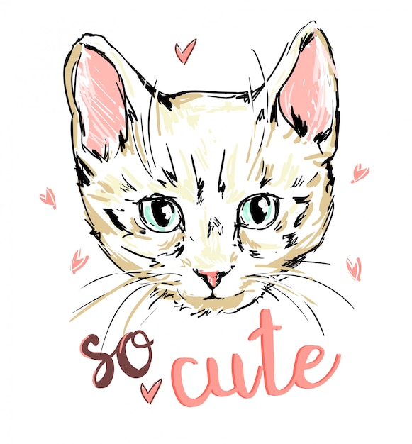 印刷猫 子猫 かわいい猫スケッチイラスト 印刷デザイン猫 子供たちはtシャツの女の子に印刷します 猫の手描きイラスト プレミアムベクター