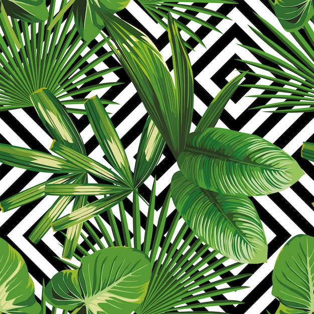 夏のエキゾチックなジャングルの植物熱帯ヤシの葉を印刷します 黒の白の幾何学的な背景のパターン シームレス花柄ベクトル 自然の壁紙 プレミアムベクター