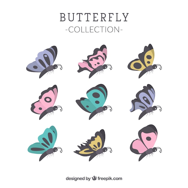 Download Free Vector | Profile butterfly collection