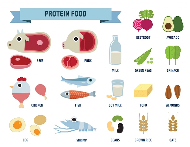 Protein food icons isolated on white Vector | Premium Download