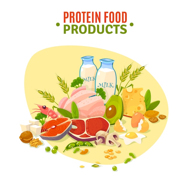 無料のベクター タンパク質食品フラットイラストポスター