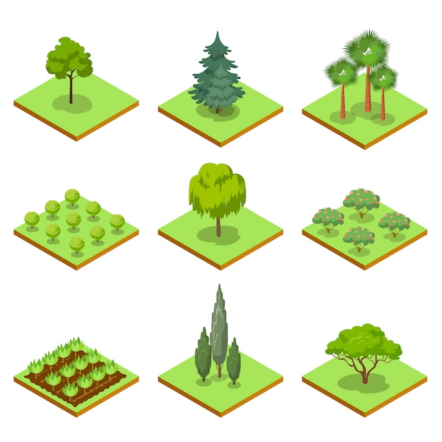 Download Public park decorative trees isometric 3d set | Premium Vector