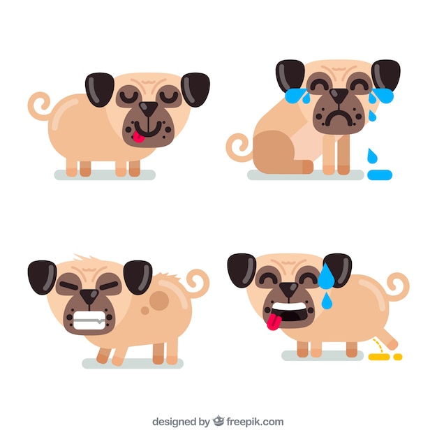 Pug collection with flat design
