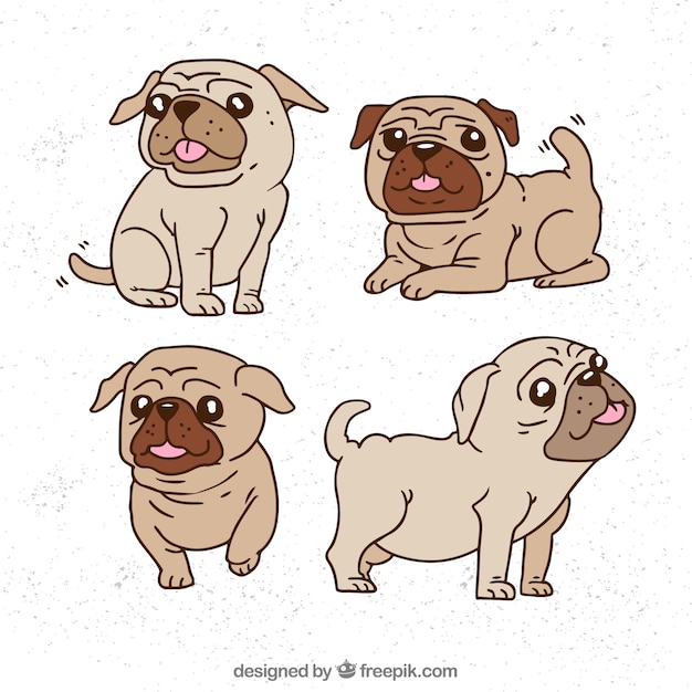 Pug collection with hand dranw style