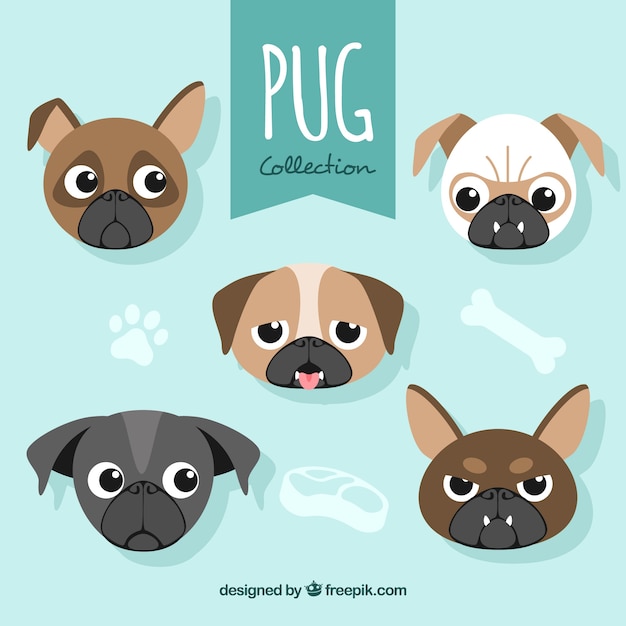 Pug faces with funny style