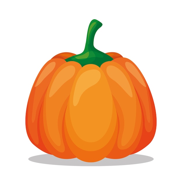 Premium Vector | Pumpkin drawing isolated over white background. vector ...