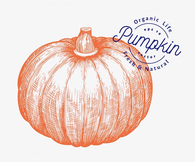 かぼちゃのイラスト 手描きベクトル野菜イラスト 刻まれたスタイルのハロウィーンまたは感謝祭 プレミアムベクター