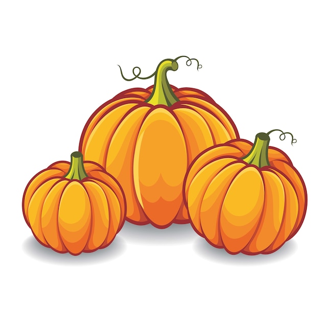 Premium Vector Pumpkin Illustration