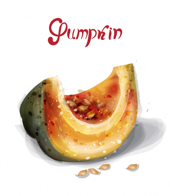 Download Pumpkin slice in watercolor Vector | Premium Download