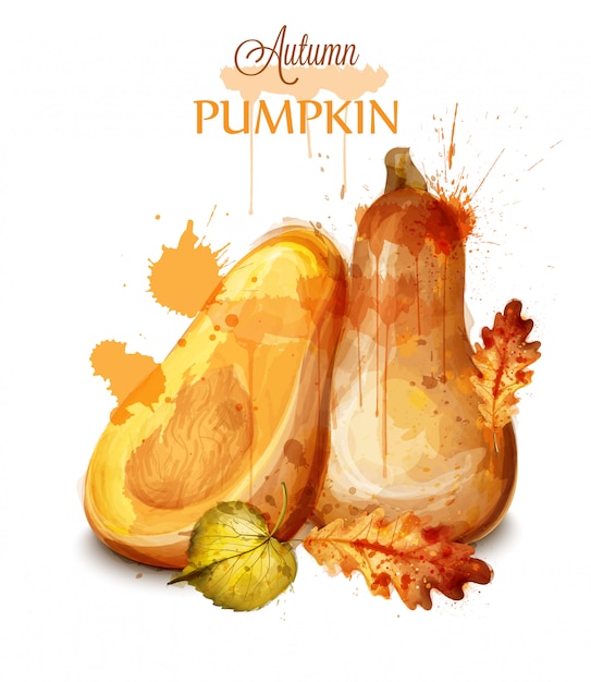 Download Pumpkin watercolor isolated Vector | Premium Download