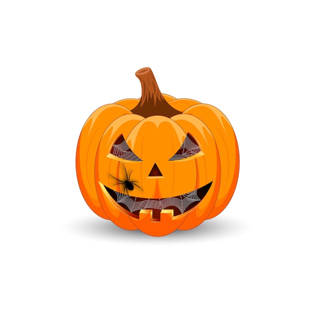 Premium Vector | Pumpkin on white background.