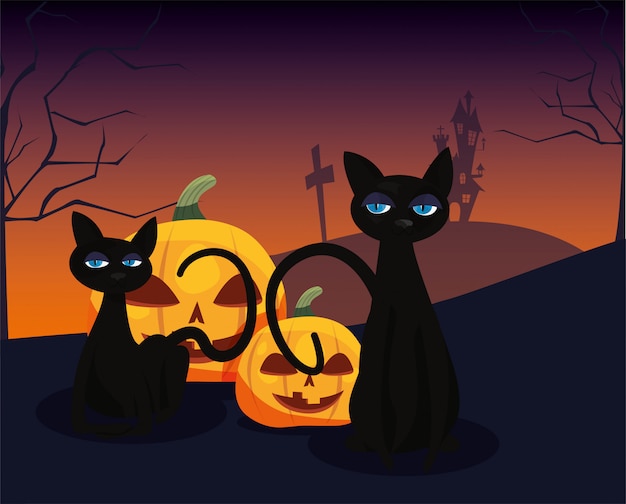 Premium Vector | Pumpkin with black cat in scene of halloween