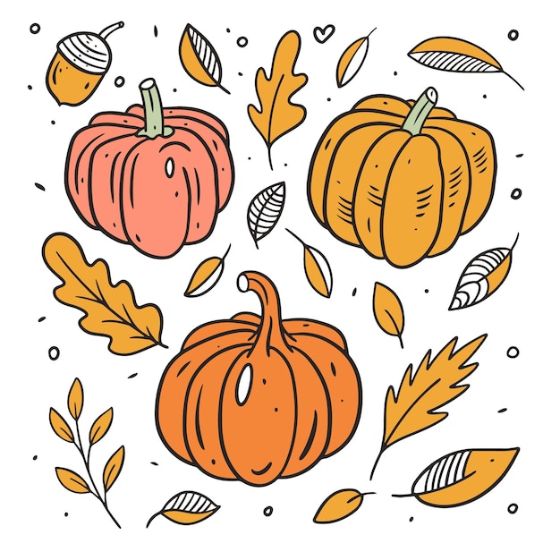 Premium Vector Pumpkins set and autumn leaves line art colorful style