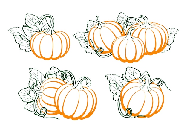 Download Premium Vector | Pumpkins with leaves, silhouette on white ...