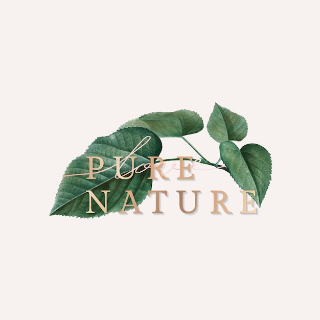 Download Free Purees Free Vectors Stock Photos Psd Use our free logo maker to create a logo and build your brand. Put your logo on business cards, promotional products, or your website for brand visibility.