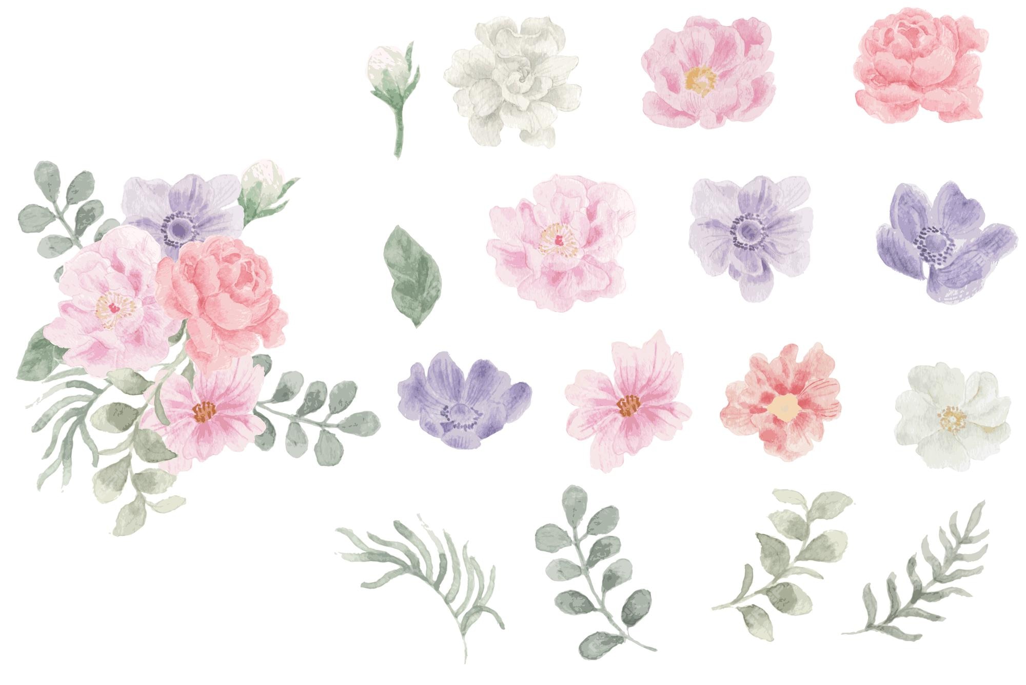 Premium Vector | Purple anemone and pink watercolor flower element