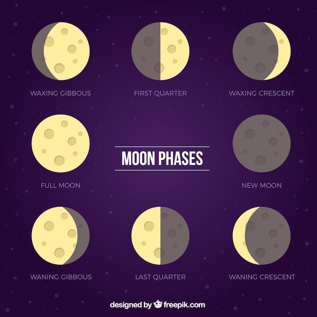 Free Vector | Purple background with flat phases of the moon
