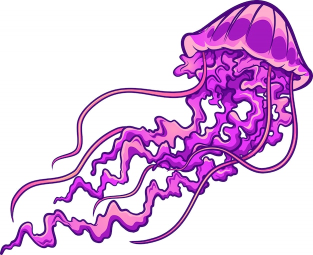 Download Purple jellyfish | Premium Vector