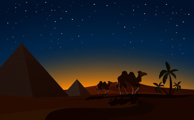 https://image.freepik.com/free-vector/pyramid-camels-desert-night-scene_1308-10310.jpg