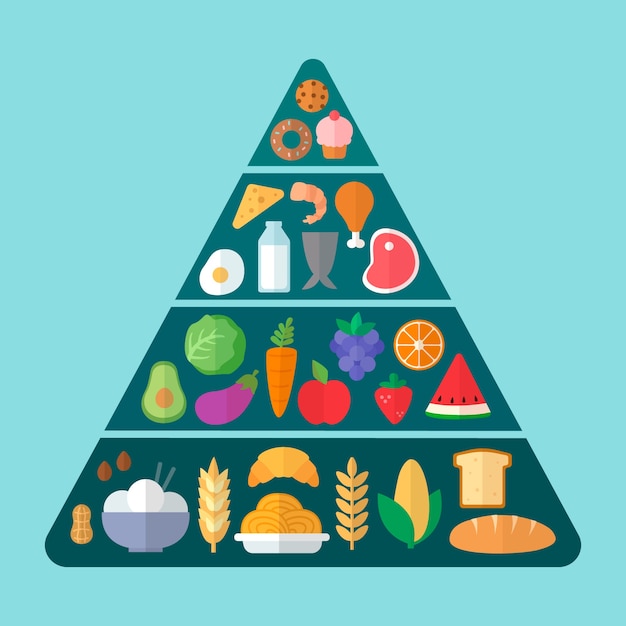 Piramide Alimenticia Nutricional Vector Free Vector Freepik Fre Images The Best Porn Website