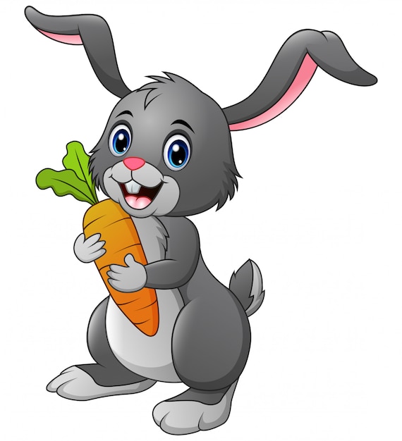 Premium Vector | Rabbit holding carrot isolated on white