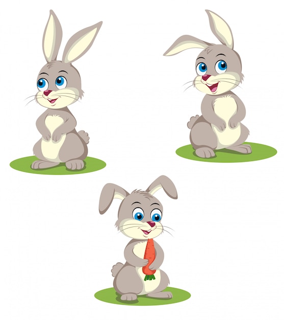 Premium Vector Rabbit Illustration