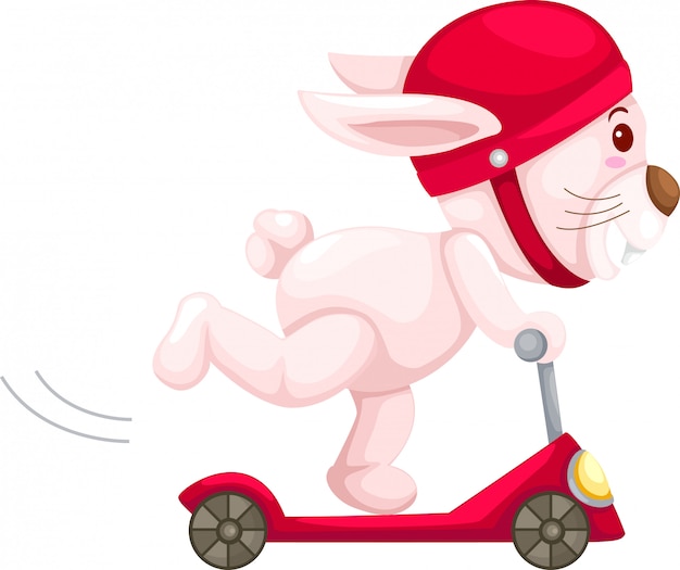 Premium Vector Rabbit Playing Scooter Illustration