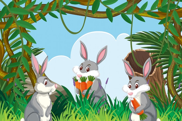 Premium Vector | Rabbits in jungle scene