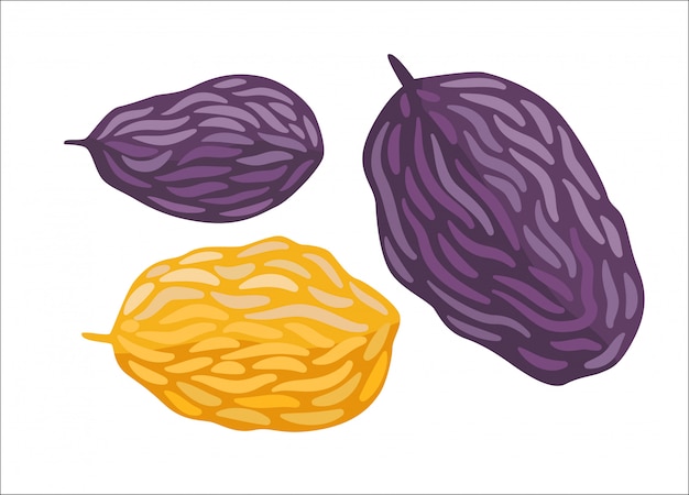 Raisin | Premium Vector