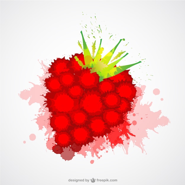 Raspberry vector color splash template Free Vector Raspberry vector color splash template Free Vector