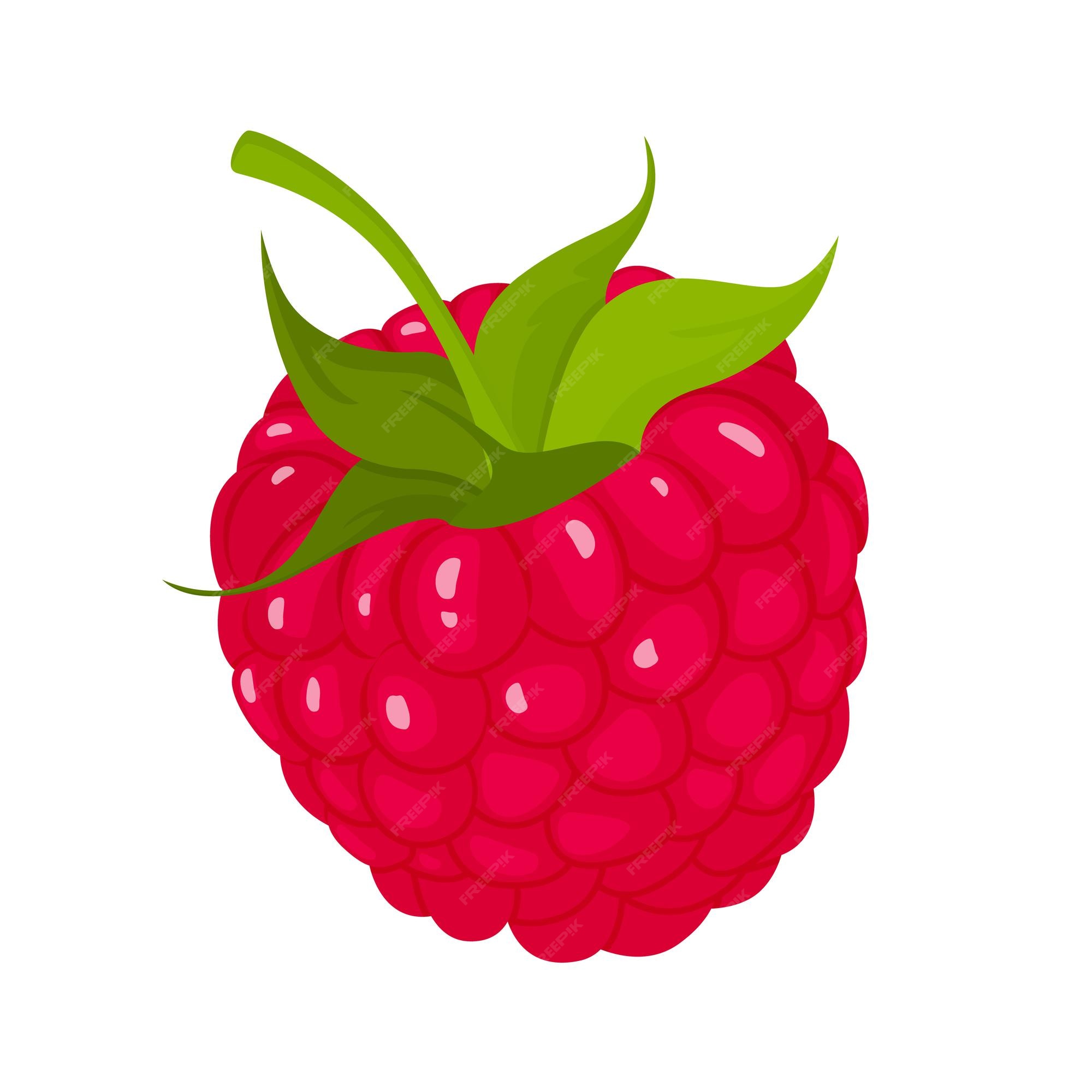 Premium Vector | Raspberry with leaf, isolated on white background ...