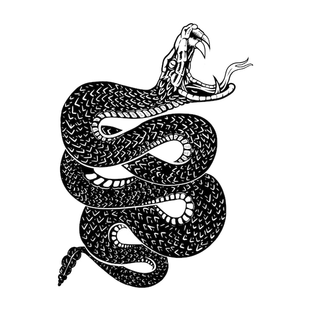 Premium Vector Rattlesnakes, line illustrations, sketch lines