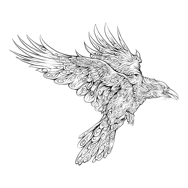 Premium Vector Raven flying in hand drawing