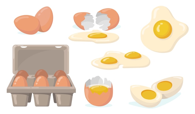 生卵 壊れた卵 ゆで卵 目玉焼きのフラットアイテムセット 黄色の卵黄分離ベクトルイラストコレクションと漫画国産鶏卵 有機農産物と食品のコンセプト 無料のベクター