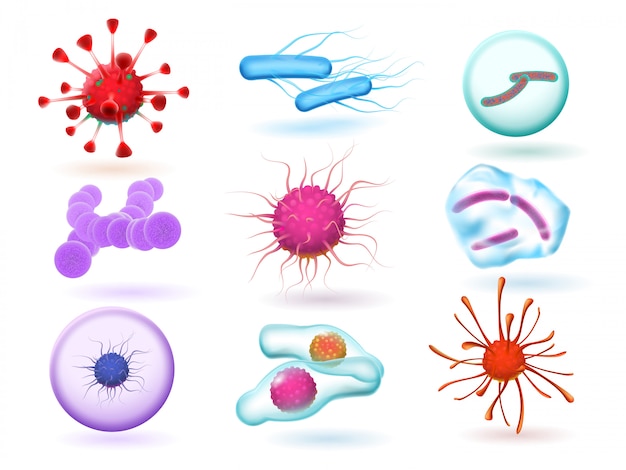 Premium Vector | Realistic 3d microbiology bacteria, various virus