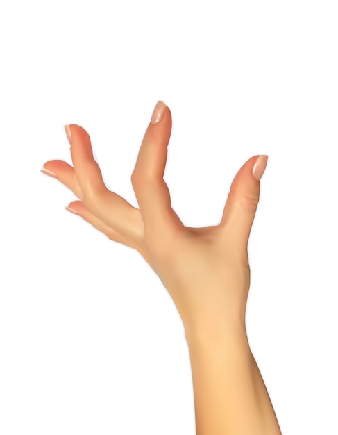 指のサイズ 何かを挿入する能力を示す手のリアルな3dシルエット プレミアムベクター