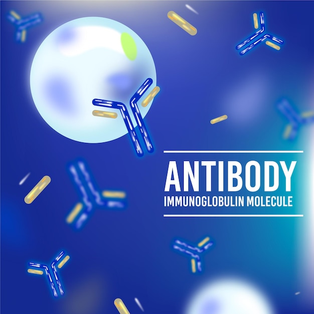 free-vector-realistic-antibody-immunoglobulin-molecule-background