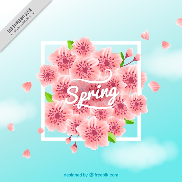 Realistic background with pink flowers and
white frame