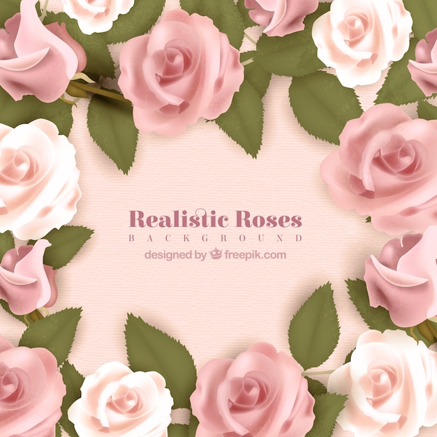 Realistic background with pink roses