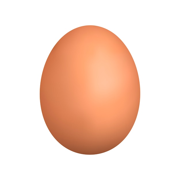 Premium Vector | Realistic brown egg. isolated egg