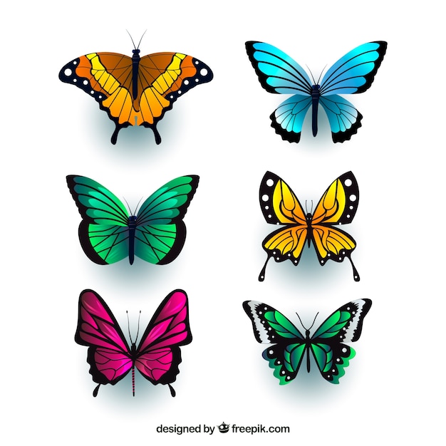 Realistic butterflies with variety of
colors