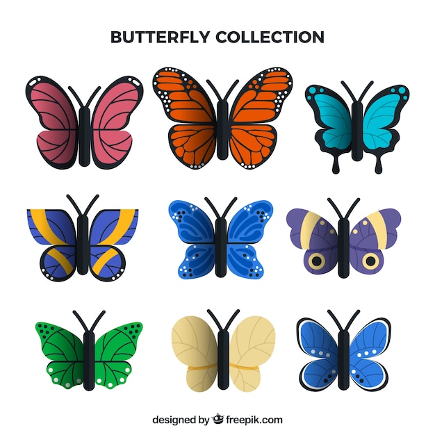 Realistic butterfly collection