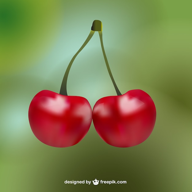 Free Vector Realistic Cherries 0940