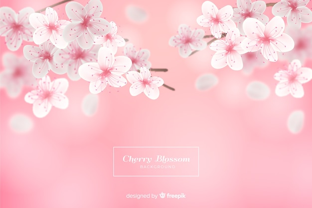 Pink Background Cherry Blossom gambar ke 12