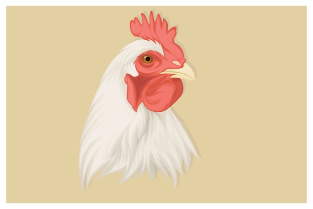 現実的な鶏のイラスト プレミアムベクター